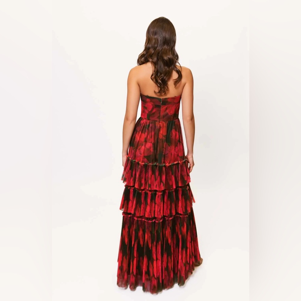 Hutch Isabella Strapless Tiered Tulle Maxi Dress - Picture 4 of 10